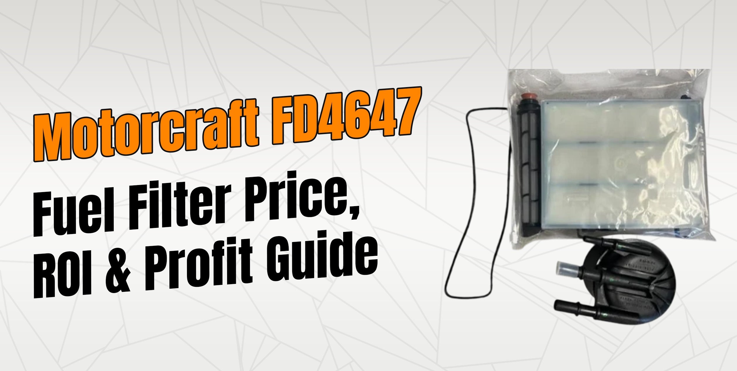 Motorcraft FD4647 Diesel Fuel Filter Profit Analysis