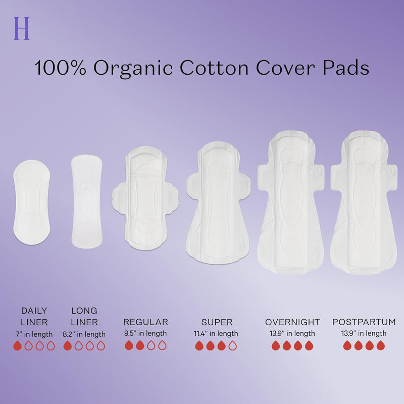 THE HONEY POT - Herbal Overnight Pads - 12 Count