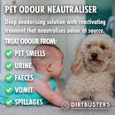 Dirtbusters Pet Odour Eliminator Spray, Neutralise Dog & Cat Urine From Carpet & Upholstery, Enzymatic Deodoriser Treatment, Wild Fig and Cassis 500ml