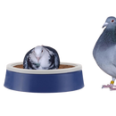 DOITOOL 2 Set Pigeon Egg Nest Pigeon Bird Egg Coconut Palm Liner Bowl Bird Breeding Nest Mat Bird Nesting Material for Home Shop