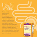 Gluten & Dairy Digestive Aid Enzyme Support Supplement – Digestive Comfort & Nutrient Absorption Formula