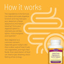 Multi-Herb Digestion & Detox Support - ECONOMY SIZE