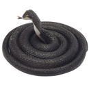 8-Piece Realistic Rubber Snake Set – Scary Props & Bird Deterrent