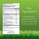 Ginkgo Smart Maximum Focus & Memory Supplement – VALUE SIZE