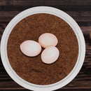 DOITOOL 2 Set Pigeon Egg Nest Pigeon Bird Egg Coconut Palm Liner Bowl Bird Breeding Nest Mat Bird Nesting Material for Home Shop