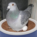 DOITOOL 2 Set Pigeon Egg Nest Pigeon Bird Egg Coconut Palm Liner Bowl Bird Breeding Nest Mat Bird Nesting Material for Home Shop