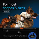 DogRook Anti Barking Dog Collars - Humane, No Shock Barking Collar - w/2 Vibration & Beep Modes - Small, Medium, Large Dogs Breeds - No Harm Training