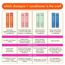 Amika Normcore Signature Shampoo 9.2 fl oz