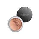 BareMinerals Tinted Mineral Veil – Translucent