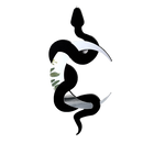 Black Snake and Crescent Moon Mirror Wall Decor Boho Hanging Mirrors Snake Decorative Wall Art for Living Room Home Bathroom Bedroom Hallway (Silver)