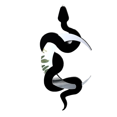 Black Snake and Crescent Moon Mirror Wall Decor Boho Hanging Mirrors Snake Decorative Wall Art for Living Room Home Bathroom Bedroom Hallway (Silver)