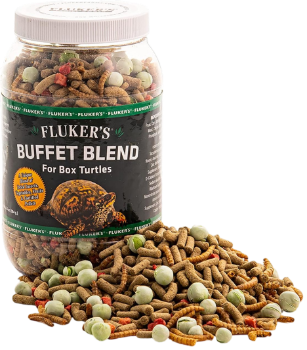 Buffet Blend for Box Turtles - 6.5 oz