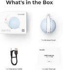 Cheerble Interactive Cat Toy for Indoor Cats, Wicked Snail, Kitten Toys, Automatic Cat Toy with LED Lights (Blue)