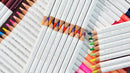 MEEDEN Artist Colored Pencil Set: 120 Oil Based Drawing Pencils For Adults