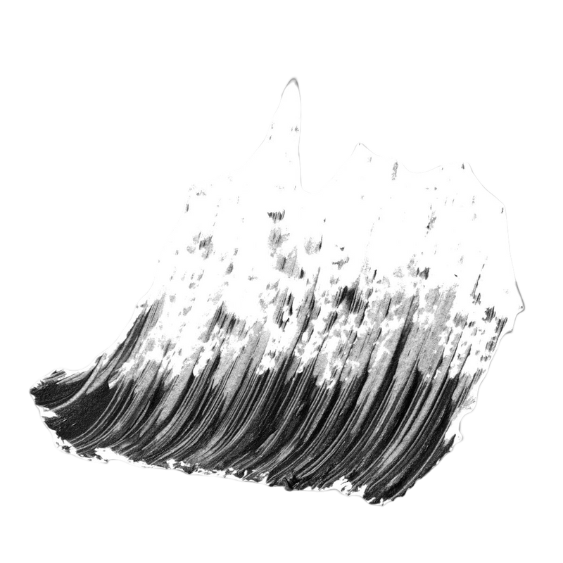 Estée Lauder Little Black Primer