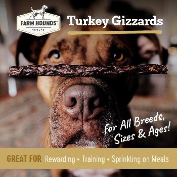 Farm Hounds Turkey Gizzards Jerky Treats for Dogs
