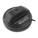 Toyota Fuel Cap - 77300-33070