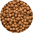 Hikari Cichlid Gold Medium Sinking Pellets 2.2 lb
