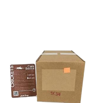 Josh's Frogs 3/4" Banded Crickets (1000 Count)