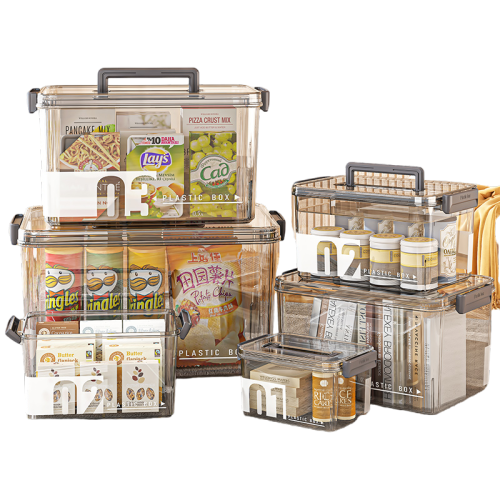 Large Capacity Transparent Medicine Organizer With Handle And Lid