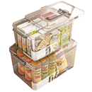 Large Capacity Transparent Medicine Organizer With Handle And Lid