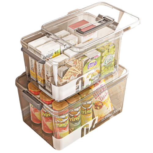 Large Capacity Transparent Medicine Organizer With Handle And Lid