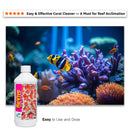 Two Little Fishies Revive Coral Cleaner – Coral Cleaning Solution for Marine Aquariums (16.8 oz)