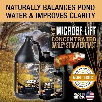 MICROBE-LIFT MLCBSE1L Concentrated Barley Straw Extract - 32 oz