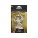 D&D NMU Draegloth W22 Fantasy Miniature Figure