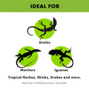 Green Terrarium Liner for 10 Gallon Reptile Tanks