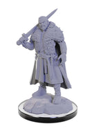 D&D NMU Loup Garou W22 Fantasy Miniature Figure