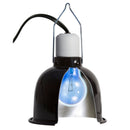 Daylight Blue Reptile Bulb 60W Terrarium Heat Light