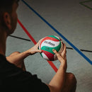 DynamicPlay Volleyball Premium Quality for Active Fun