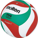 DynamicPlay Volleyball Premium Quality for Active Fun