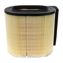 Motorcraft - Element Asy Air Cleaner FA1927