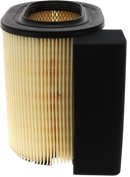 Motorcraft - Element Asy Air Cleaner FA1927
