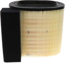Motorcraft - Element Asy Air Cleaner FA1927