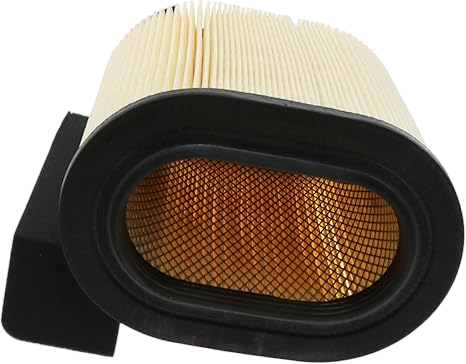 Motorcraft - Element Asy Air Cleaner FA1927