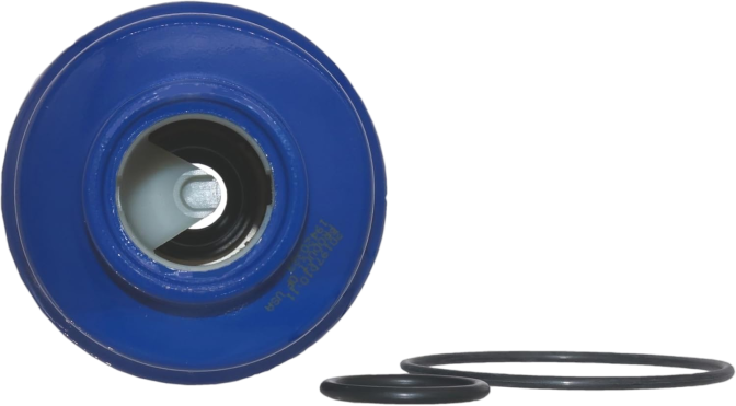 Parts GM Genuine Parts TP3018 (19431541) Fuel Filter Kit