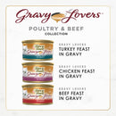 Purina Fancy Feast Gravy Lovers Poultry & Beef Gourmet Wet Cat Food Variety Pack – 24 x 3 oz. Cans