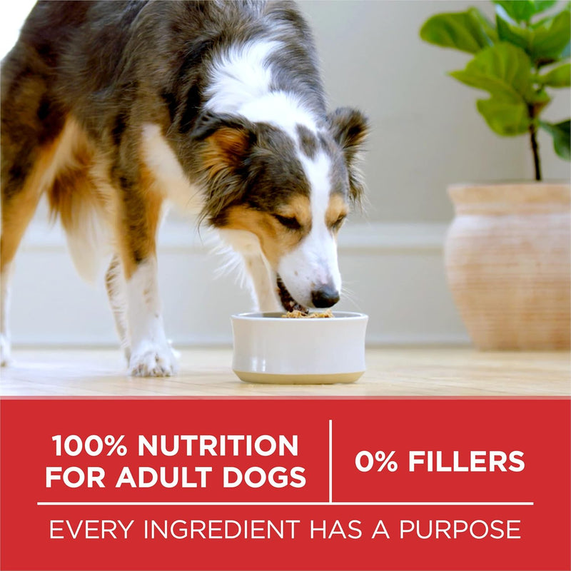 Purina ONE Chicken & Rice Formula – Dry Dog Food 40 lb. Bag