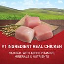 Purina ONE Natural Sensitive Stomach Dry Dog Food – +Plus Skin & Coat Formula (31.1 lb)