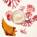 Shiseido Benefiance Wrinkle Smoothing Day Cream – SPF 23 Anti-Aging Moisturizer - 50 mL