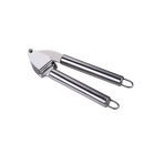 Stainless Steel Ginger Press