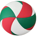 DynamicPlay Volleyball Premium Quality for Active Fun