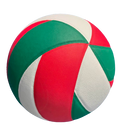 DynamicPlay Volleyball Premium Quality for Active Fun